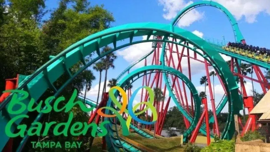 Urban Paradise: Stylish Getaway Near Buschgardens Tampa 0*,